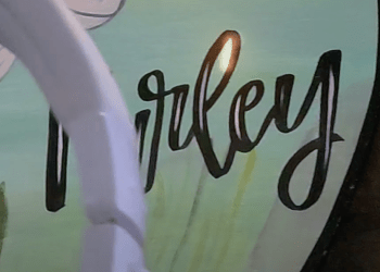VIDEO SPOTLIGHT – Charlie Farley “Try That In A Small Town” (Remixxxx)