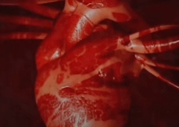 VIDEO SPOTLIGHT – Burden x Dusty Leigh “Heartbeat Go” (Lyric Video)