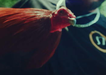 VIDEO SPOTLIGHT – Jo Tyler “Cocky” f/ Colt Ford