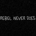 VIDEO SPOTLIGHT – Charlie Farley “Rebels Never Die” (Official Lyric Video)