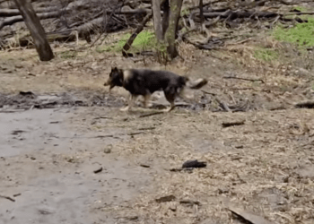 VIDEO SPOTLIGHT – JamWayne “Old Soul” f/ Lady K